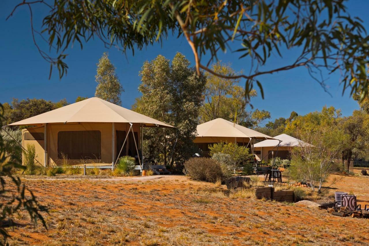 Squeakywindmill Boutique Tent B&B Alice Springs Extérieur photo