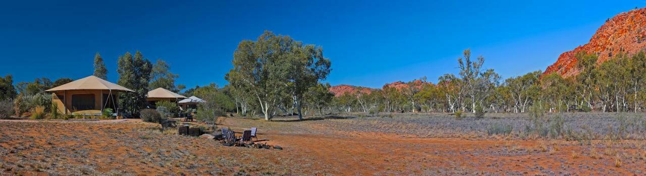 Squeakywindmill Boutique Tent B&B Alice Springs Extérieur photo